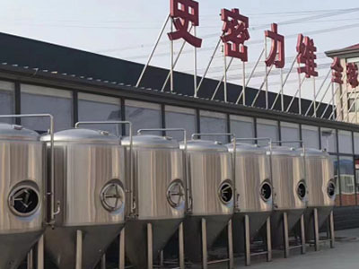 兰州精酿啤酒设备厂—市场规模与跨界新需求